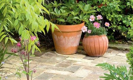 Herringbone path in garden