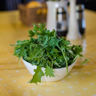 Coriander leaves in a bowl