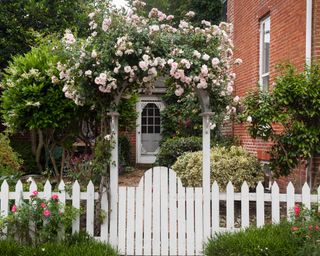 garden archway with roses and white gate