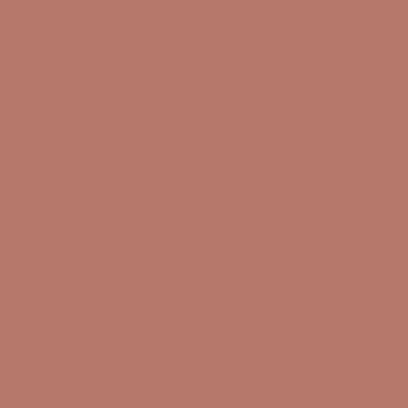 terracotta paint swatch