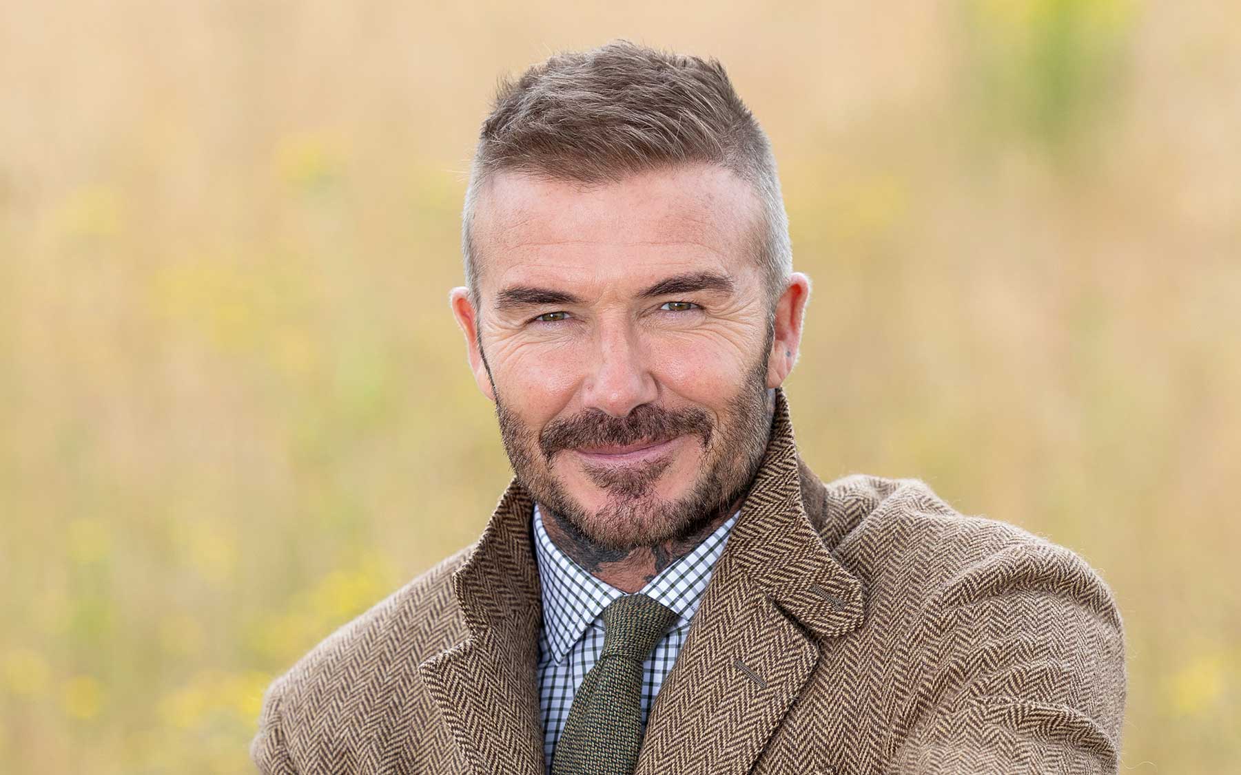 David Beckham