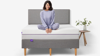 Purple Plus Mattress: was $1,499 now from $1,099 at Purple