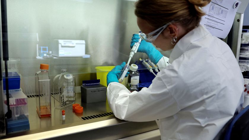 A lab technician works on a research process to find new CAR-T cells and RNA in the laboratory of French biopharmaceutical company Cellectis in Paris on September 23, 2021. - The human immune system has T lymphocytes to protect itself, which identify and destroy foreign cells. Cellectis develops CAR-T cells, or &quot;chimeric antigen receptor T cells&quot;, a genetically engineered T cell for use in immunotherapy. The principle of the new and innovative class of therapy is to retrain the immune system to target a specific disease, such as cancer cells. Cellectis manufactures the RNA molecules in the Paris laboratory, which are then sent to a production site in the USA. After many more operations the RNA is turned into molecular scissors capable of cutting a fragment of DNA in T cells. (Photo by THOMAS COEX / AFP) (Photo by THOMAS COEX/AFP via Getty Images)