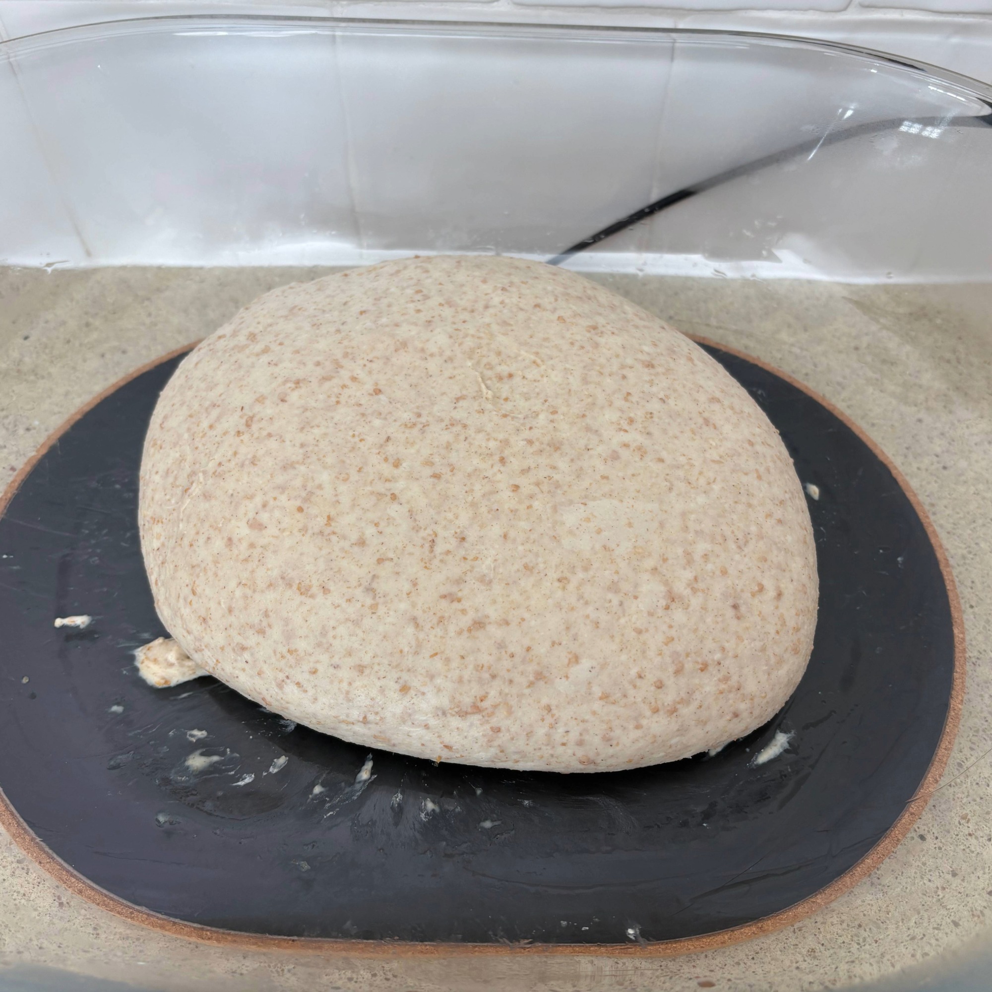 Testing the SourHouse DoughBed Sourdough Keeper