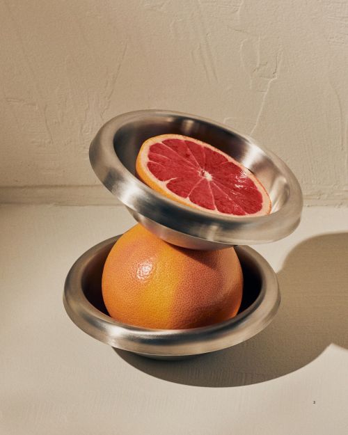 Stainless Steel Picnic Bowl