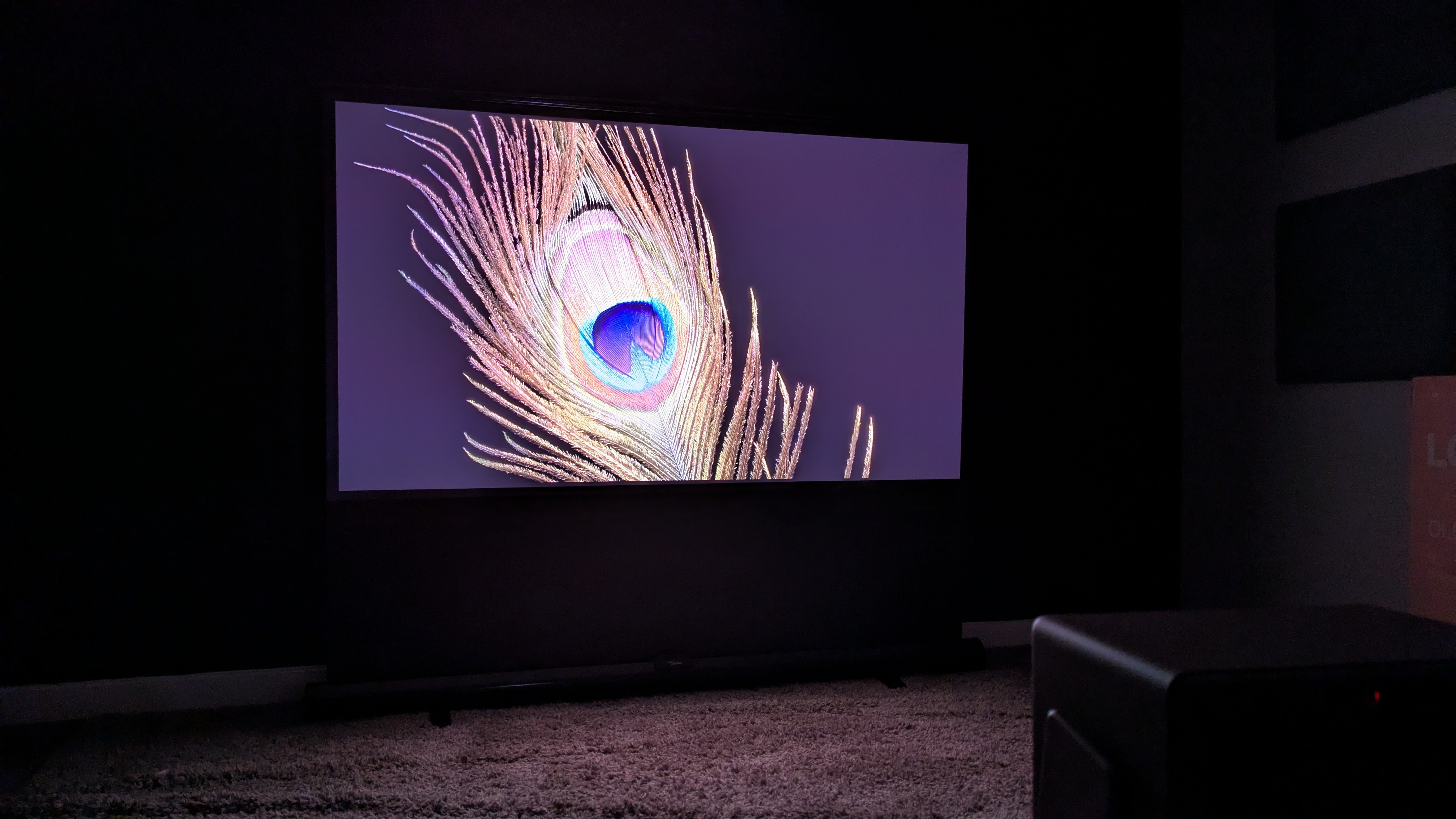 Xgimi Horizon 20 Max showing peacock feather