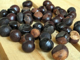 guarana seeds, caffeine, energy drinks, supplements