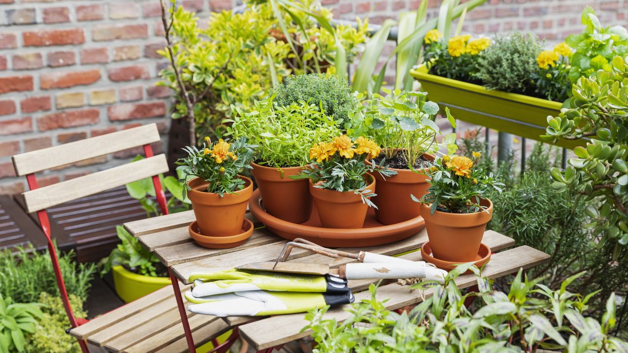 Balcony garen with planters and pots