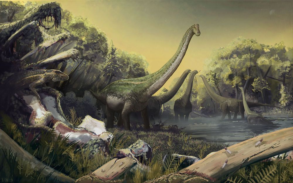 Tanzania Titanosaur