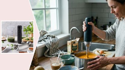 Zwilling XTEND Cordless Hand Blender