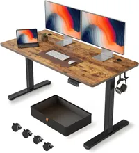 Fezibo  55 x 24in standing desk