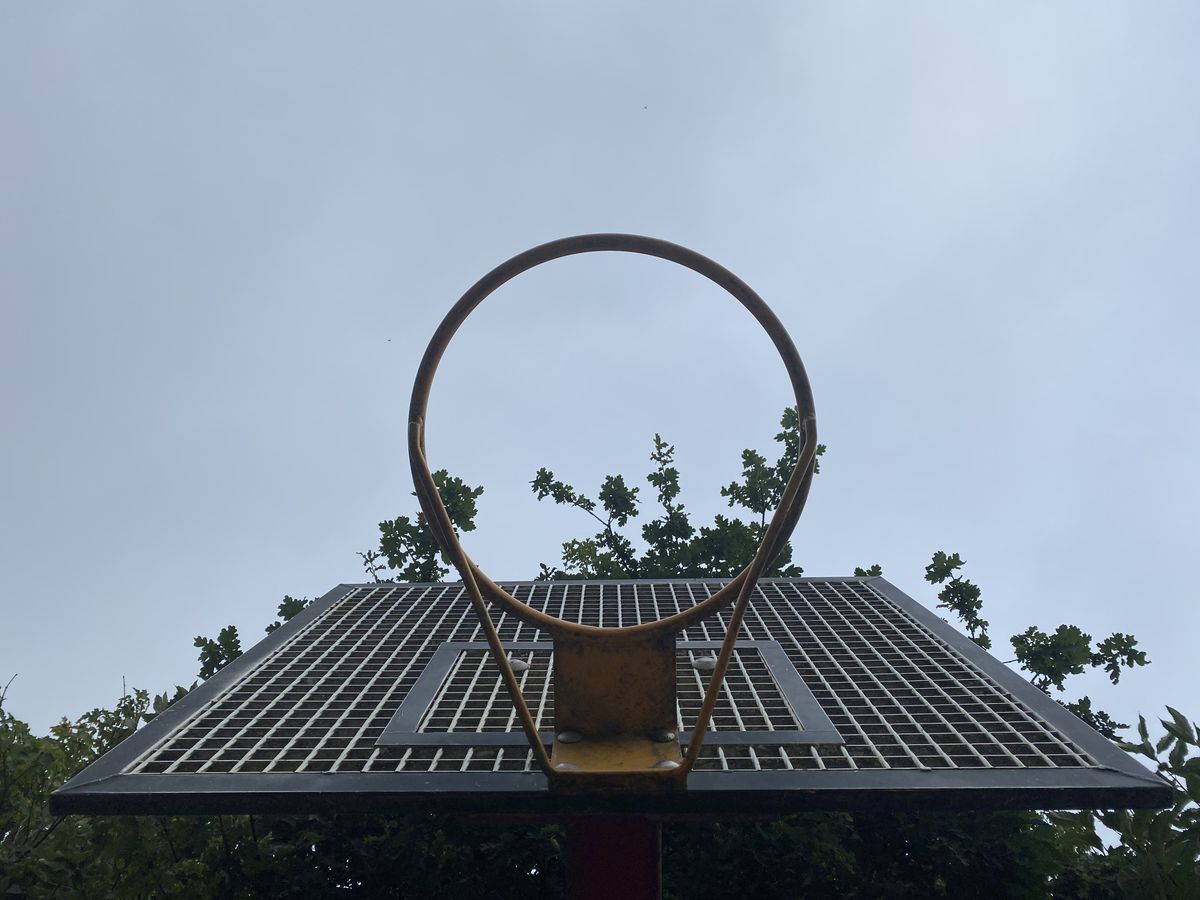 iPhone 11 camera