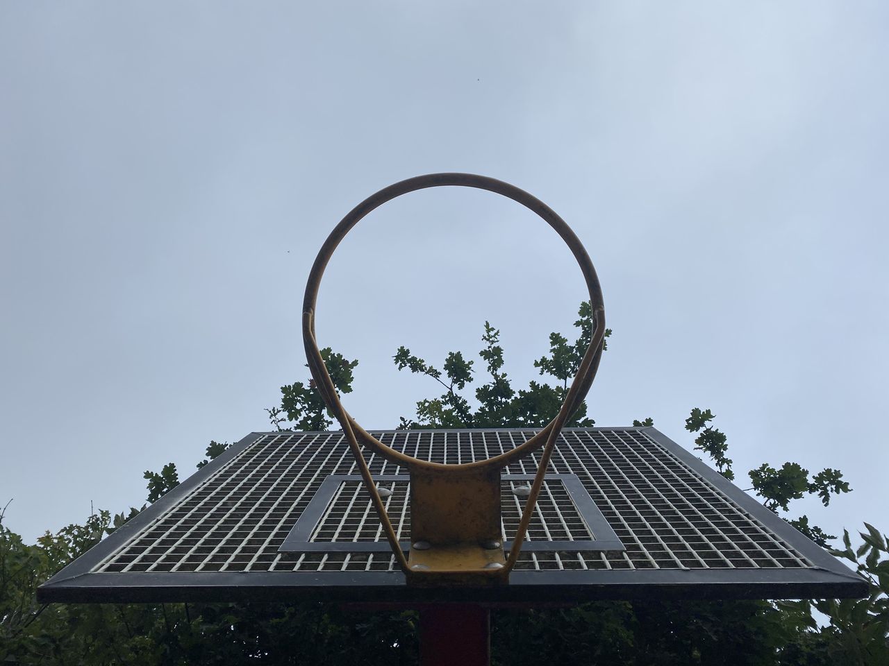 iPhone 11 camera