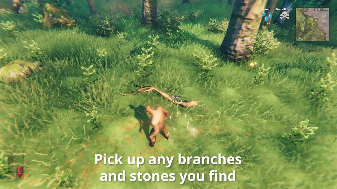 Valheim First Steps Pick Up Sticks Stones