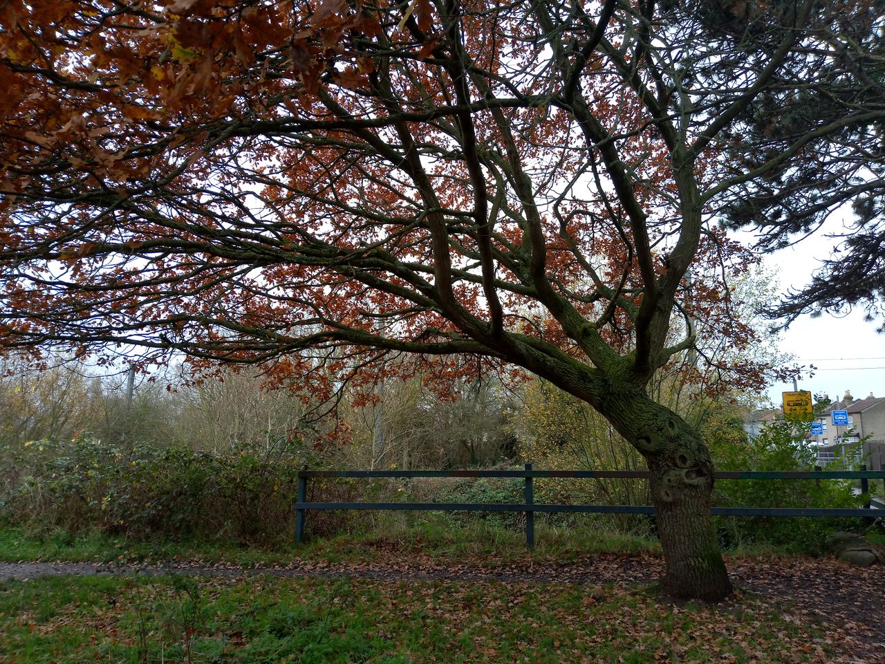 Ramp up the contrast and brightness here and you&rsquo;ll have an image ready for posting online. Not too bad at all.