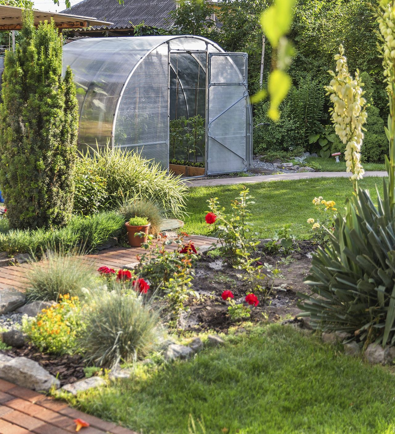 Garden Of Plants And Flowers Outside Of A Greenhouse