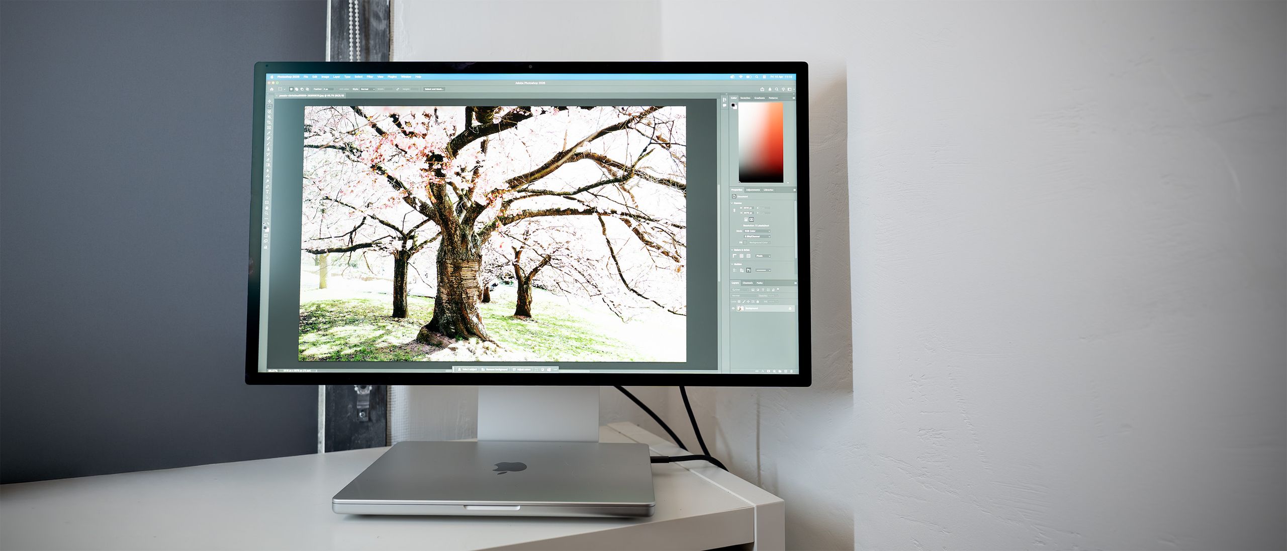 Apple Studio Display (2026) review: meet the new boss, same as the old boss
