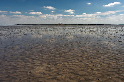 Wadden Sea