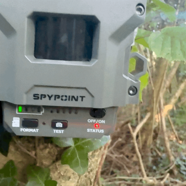 A GIF of the Spypoint FLEX-M2 camera with poor battery