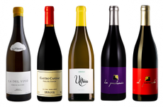 Ra&uacute;l P&eacute;rez