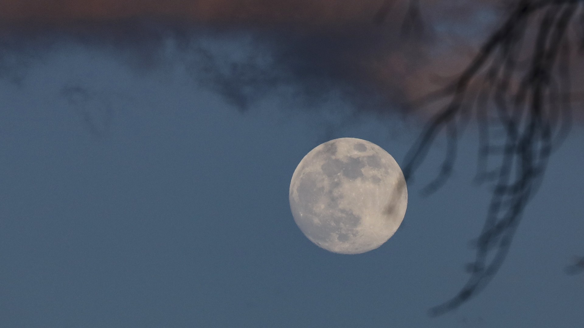 North America Will Get A 'Perfect' View Of This Week's Full 'Wolf Moon.'  Here's When You Can See It
