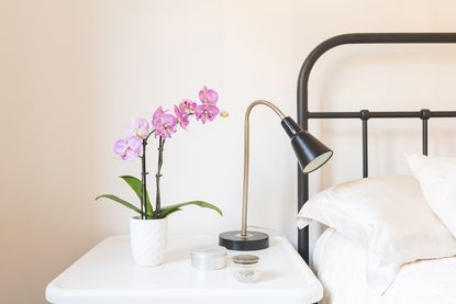 pink orchid flowering on a bedside table
