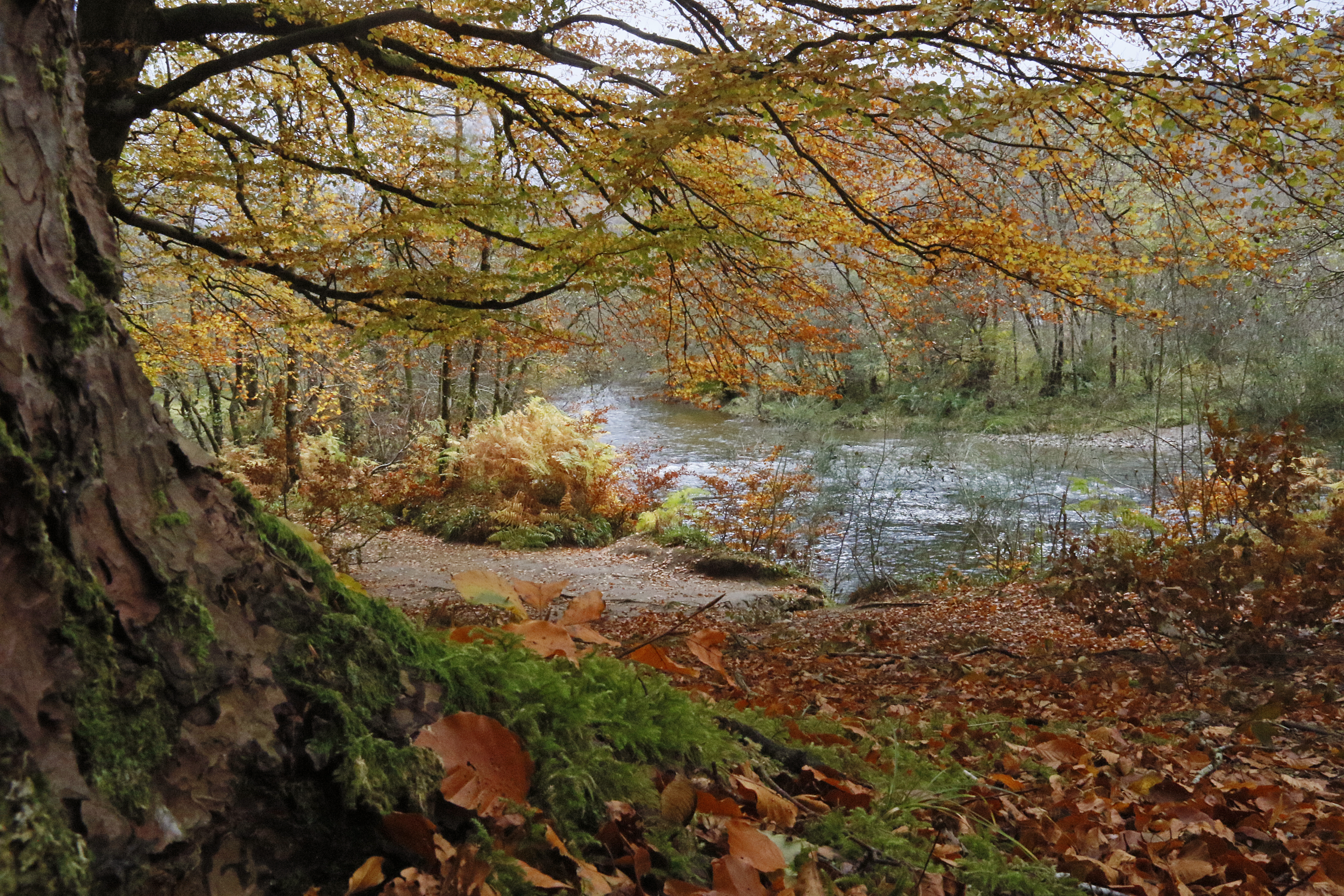 GuruShots - Nature&amp;rsquo;s Masterpiece 2026