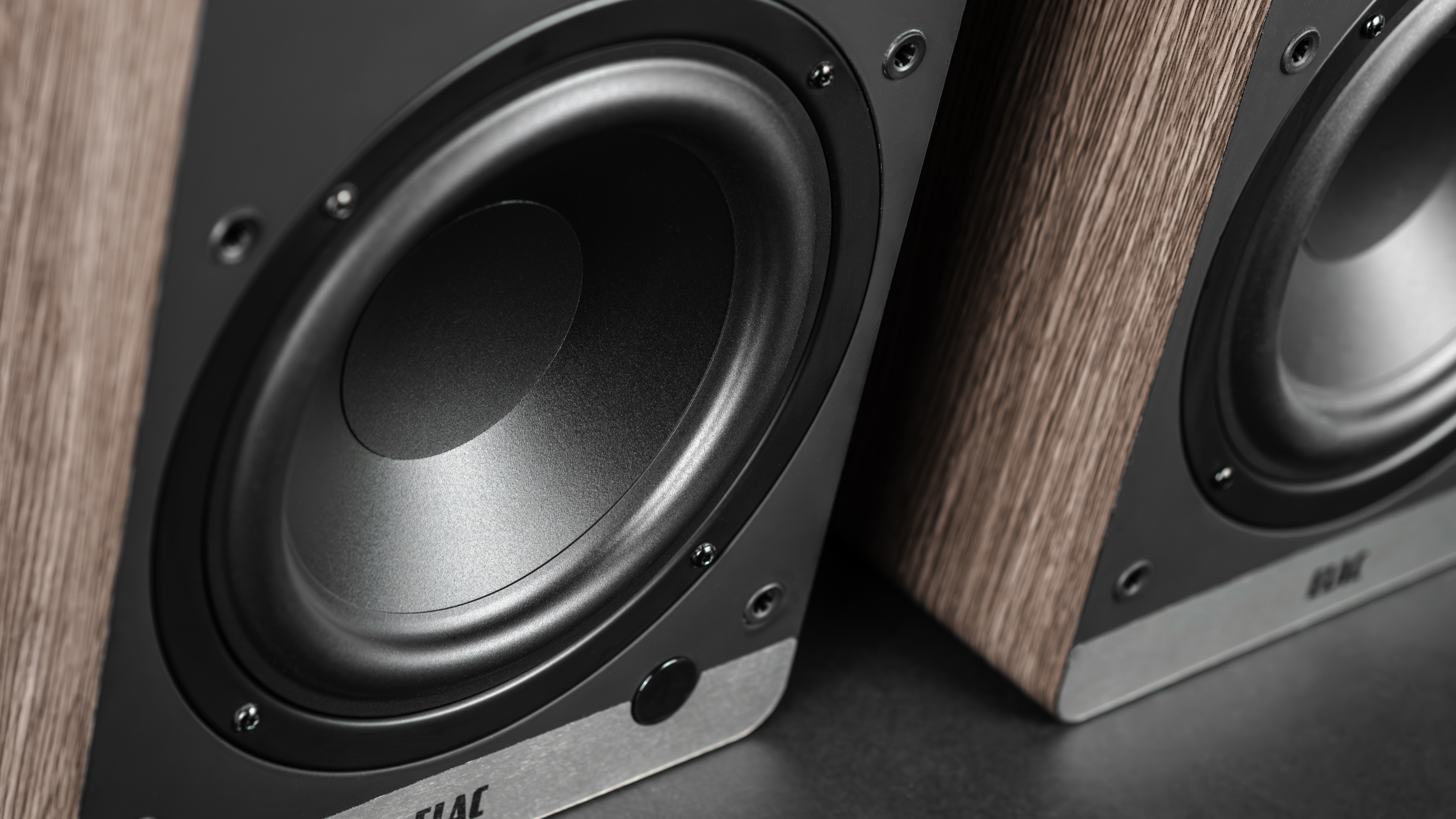Elac ConneX DCB61 driver close up