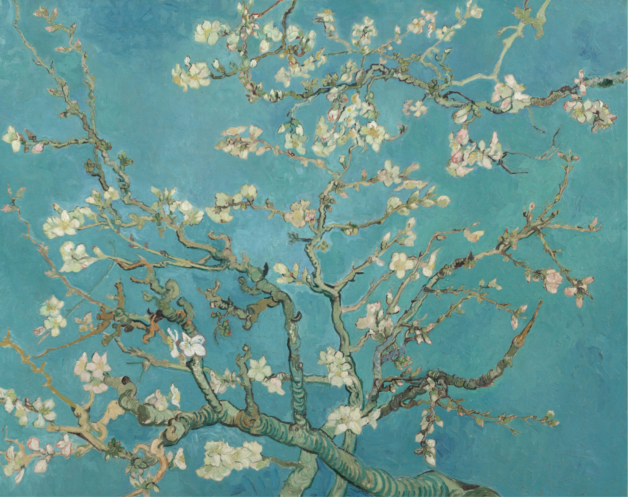 tree blossom painting used in Sky Van Gogh season