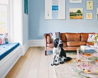 A blue living room with dog and tan leather sofa with framed wall art decor