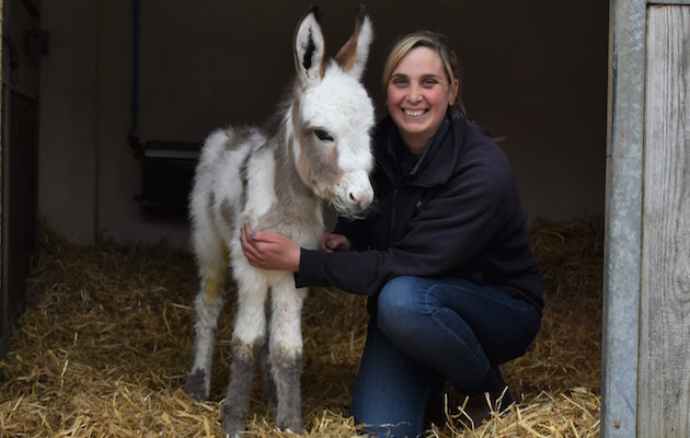 BenFoal2.jpg