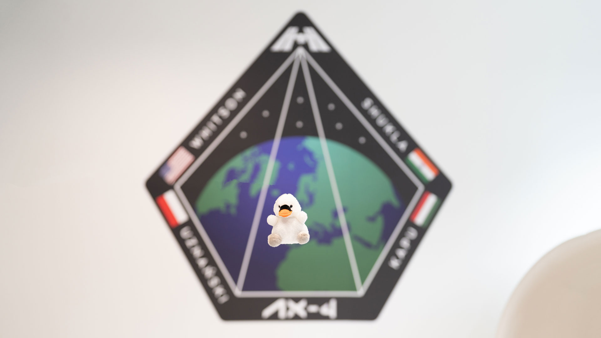 Uma pequena boneca de cisne de pelúcia parece flutuar em frente a um aumento do patch da missão espacial