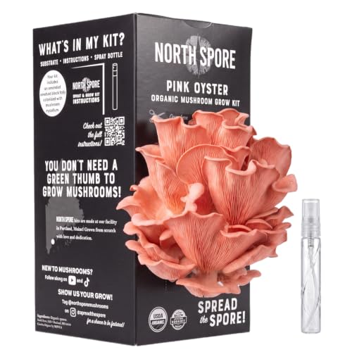 North Spore Pink Oyster Mushroom Growing Kit, Organic, Spray &amp;amp; Grow, 4 Lbs
