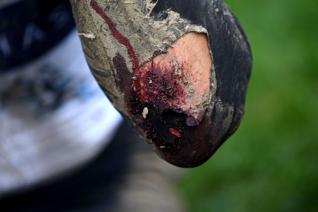 ROUBAIX FRANCE OCTOBER 03 EDITORS NOTE Image contains graphic content An injury of Max Walscheid of Germany and Team Qhubeka Nexthash covered in mud after the 118th ParisRoubaix 2021 Mens Eilte a 2577km race from Compigne to Roubaix ParisRoubaix on October 03 2021 in Roubaix France Photo by Tim de WaeleGetty Images