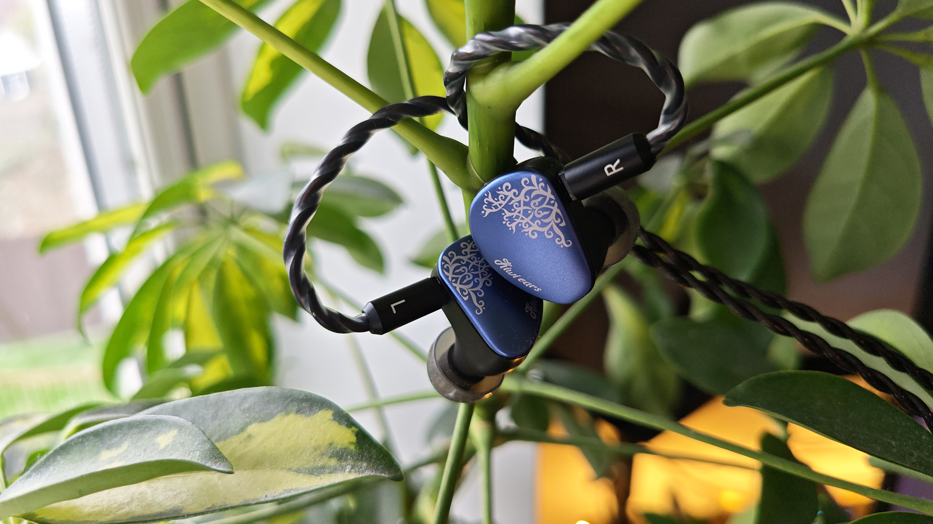 Various photos of the Kiwi Ears Cadenza II IEM.