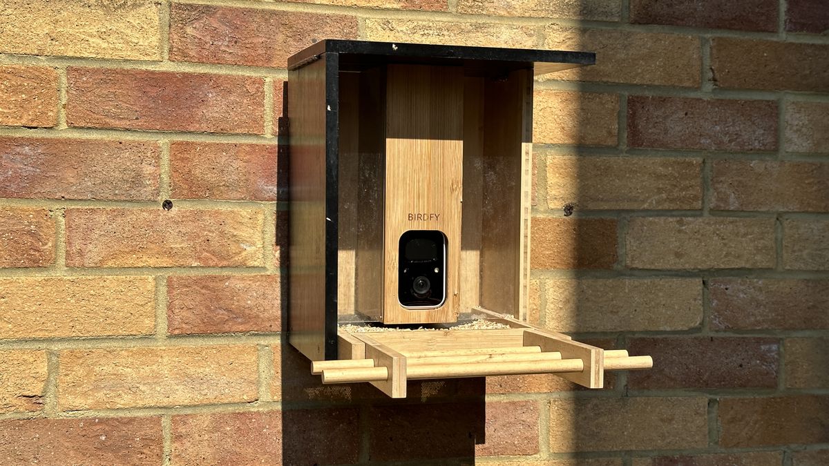 Netvue Birdfy Bamboo review: the sustainable and stylish bird feeder