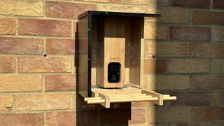 Netvue Birdfy Bamboo bird feeder camera mounted to a brick wall