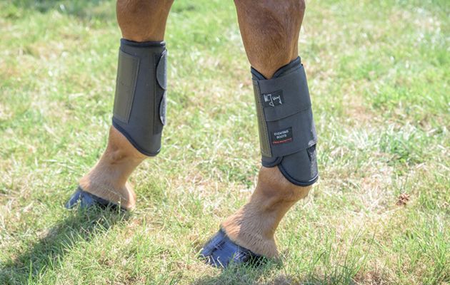 Michael Jung Event Boots review