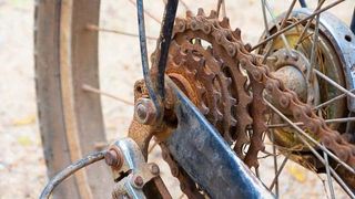 Rusty bike chain