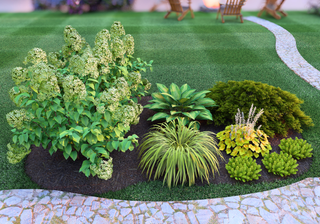 An arrangement of low growing bushes and plants