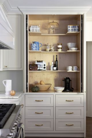 pantry hidden in kitchen cabinet