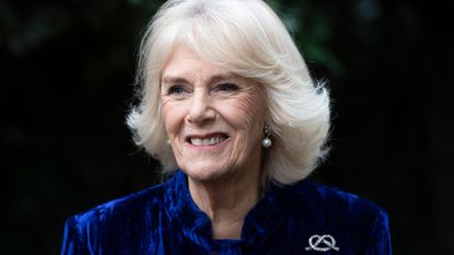 Duchess Camilla looks stunning in new portrait