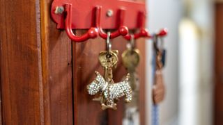 best ways to memorialize your pet — dog keychain
