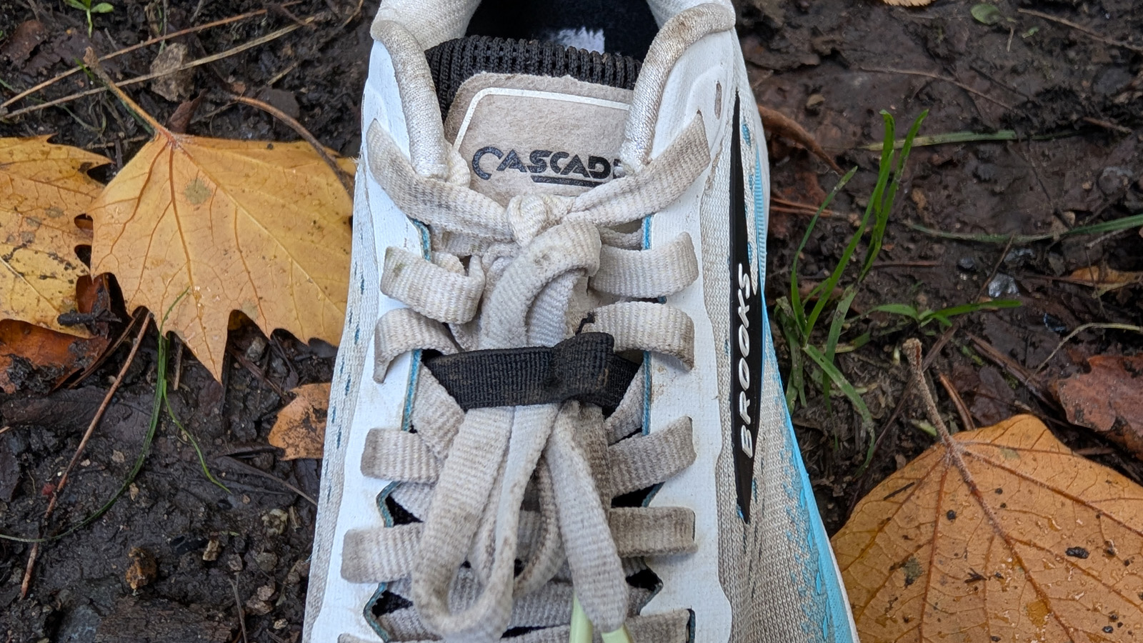 Brooks Cascadia 20 review