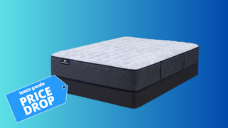 Serta Perfect Sleeper Mattress