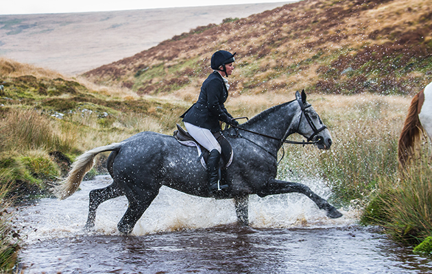 Crossing Dartmoor &amp;mdash; where a brook can come in handy for washing the worst of the mud off a grey (or any colour for that matter)