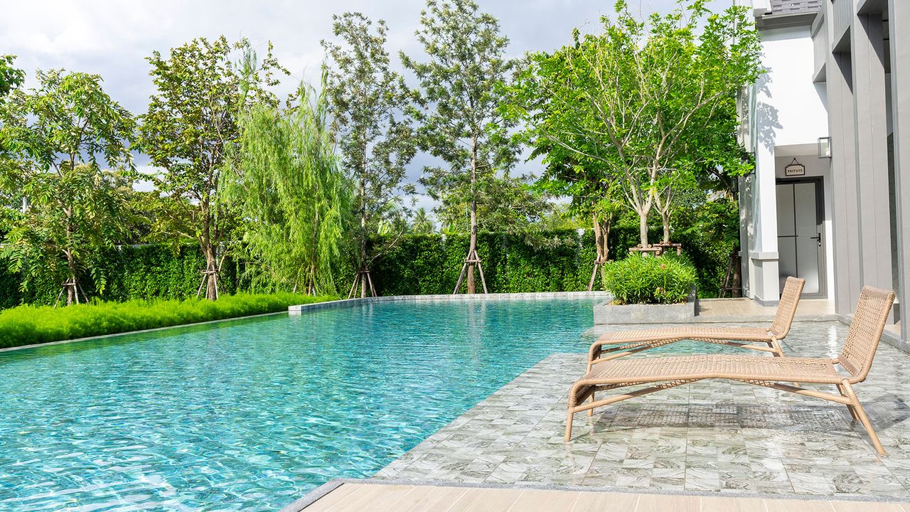 modern pool with patio and loungers