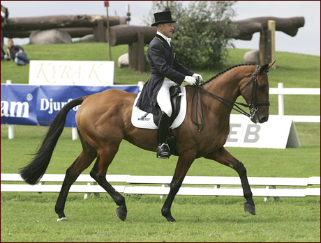 AHoy_dressage_L.jpg