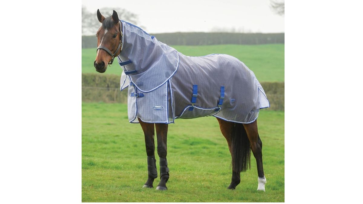 Best fly rugs for horses Six options for your horse PetsRadar