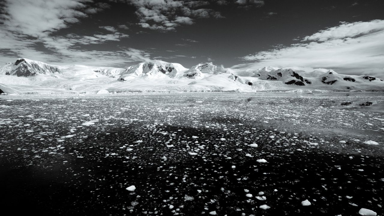 Texas-Sized Winter Sea Ice Area Fails to Form Off Western Antarctica